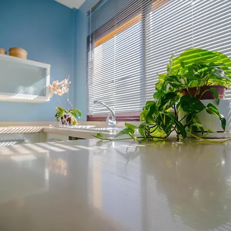 Casa Bolmar * Trapiche (Las Palmas)